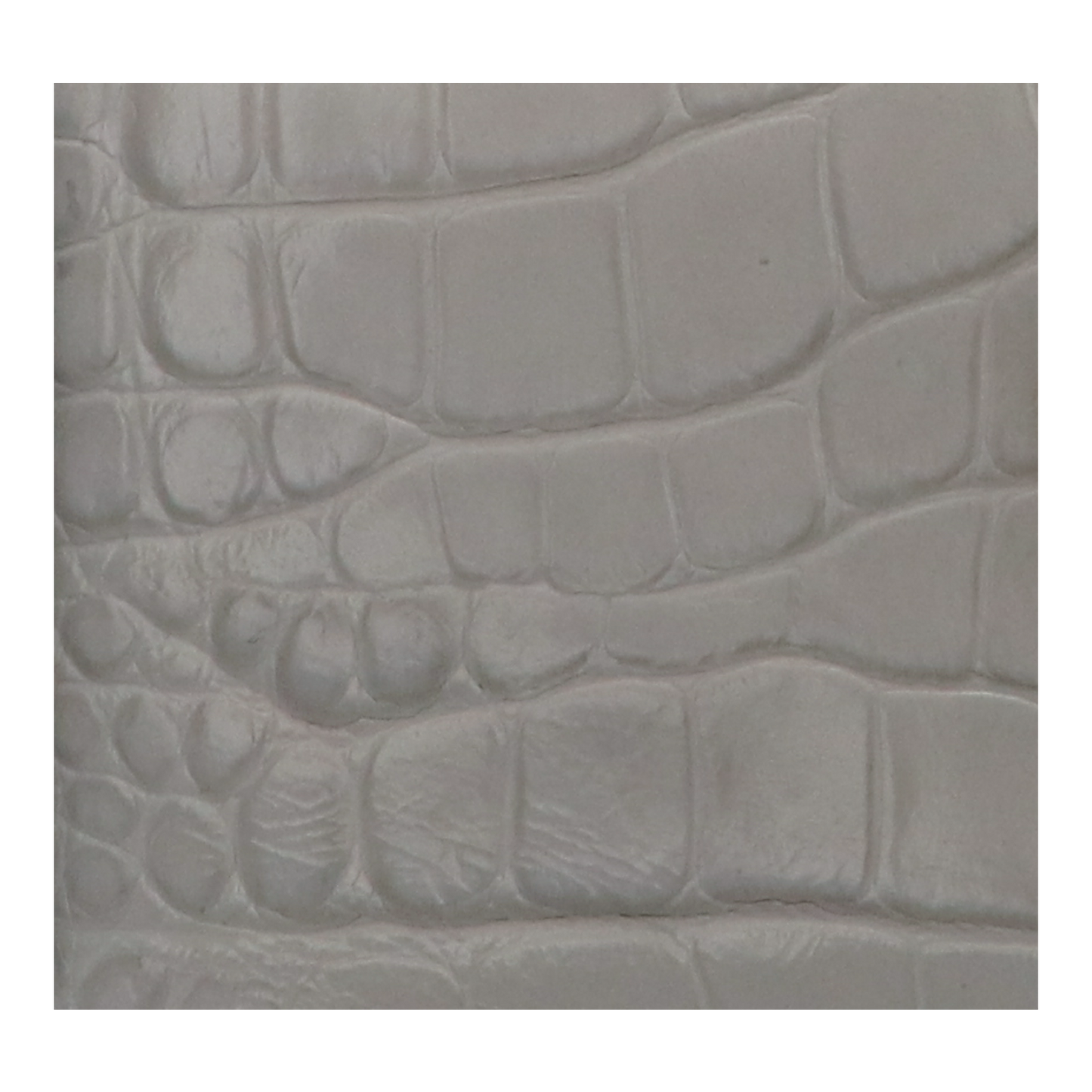 ブーブー?クラッシー